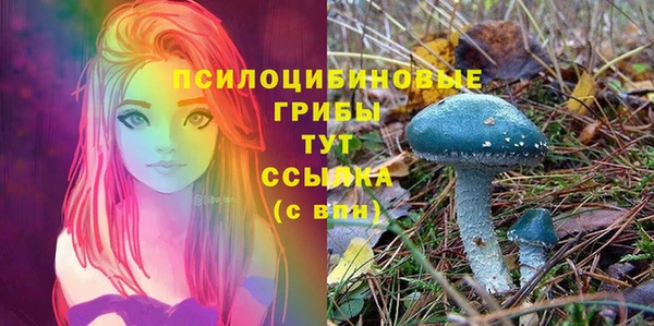 амфетамин Коряжма