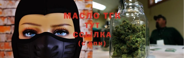 стаф Корсаков