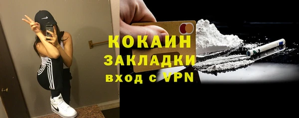 стаф Корсаков