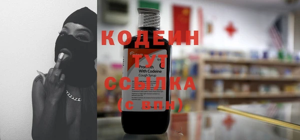 стаф Корсаков