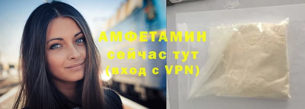 стаф Корсаков
