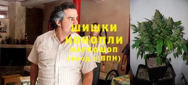 стаф Корсаков