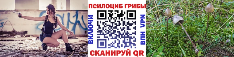 Галлюциногенные грибы ЛСД Шенкурск