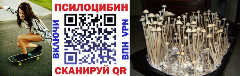 Галлюциногенные грибы MAGIC MUSHROOMS Шенкурск